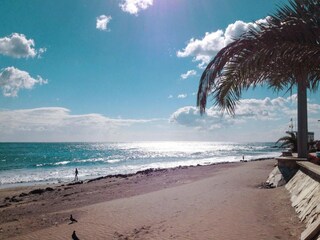 Parc de vacances San Agustin (Gran Canaria) Environnement 32