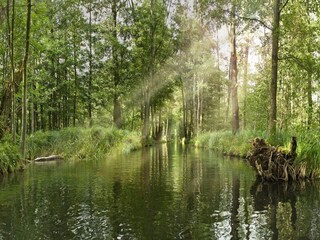 Vakantiepark Lübben Omgeving 37