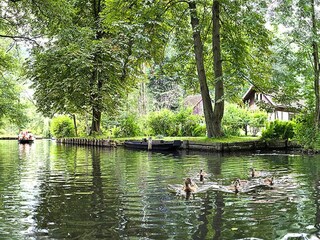 Parc de vacances Lübben Environnement 34