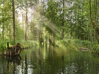 Holiday park Lübben Environment 37