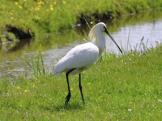 Parc de vacances Uitgeest  39