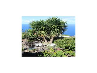 Holiday park El Tanque Outdoor Recording 22