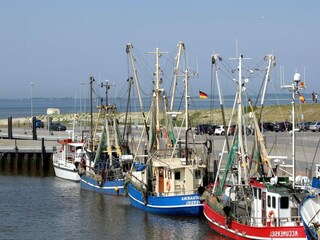 Ferienhaus Ostermarsch Umgebung 15