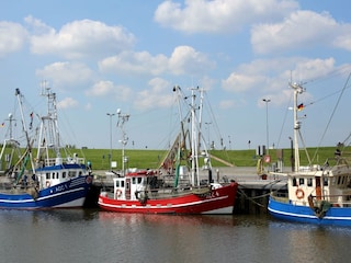 Vakantiehuis Dornumersiel Omgeving 11