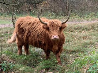Ferienpark Uitgeest Umgebung 34