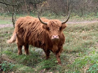 Vakantiepark Uitgeest Omgeving 34