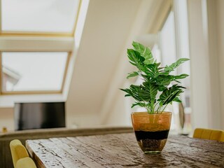 Parque de vacaciones Uitgeest  34