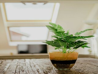 Ferienpark Uitgeest  40