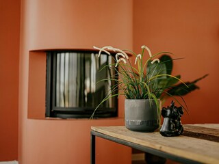 Parc de vacances Uitgeest  38