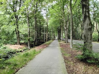 Parque de vacaciones Sint Nicolaasga Entorno 26