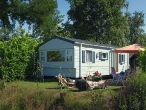 Holiday park Chalet with a garden, close to nature - Rijssen - image1
