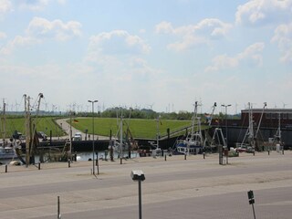 Appartement Dornumersiel Environnement 18