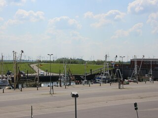 Appartement Dornumersiel Omgeving 27