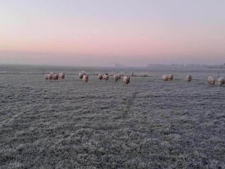 Ferienpark Sint Nicolaasga Umgebung 18