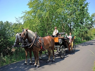 Vakantiepark Alt Zauche  13