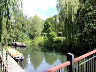 Vakantiepark Alt Zauche Omgeving 11