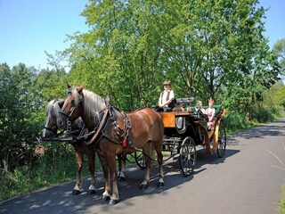 Ferienpark Alt Zauche  12