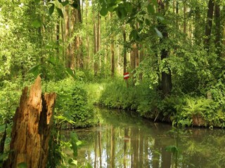 Parque de vacaciones Alt Zauche  15