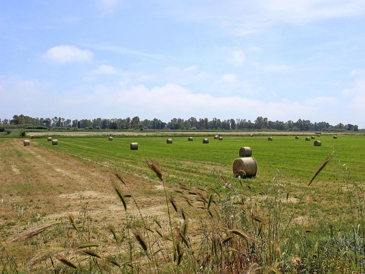 Vakantiepark Cerveteri Buitenaudio-opname 1