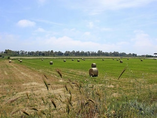 Parc de vacances Cerveteri  29