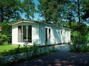 Holiday park Comfortable chalet with a garden in Zuna - Rijssen - image1