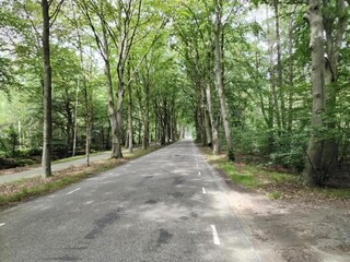 Vakantiepark Sint Nicolaasga Omgeving 31