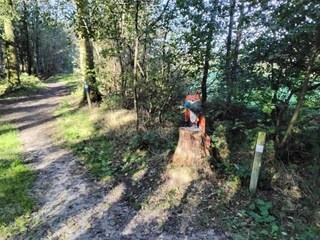 Vakantiepark Sint Nicolaasga Omgeving 35