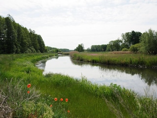 Ferienpark Alt Zauche Umgebung 9