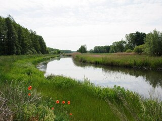 Parco vacanze Alt Zauche Ambiente 9