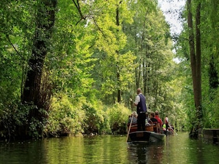 Ferienpark Alt Zauche Umgebung 10