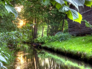 Parc de vacances Alt Zauche Environnement 11