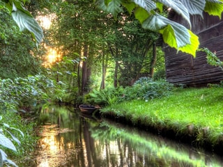 Parco vacanze Alt Zauche Ambiente 9