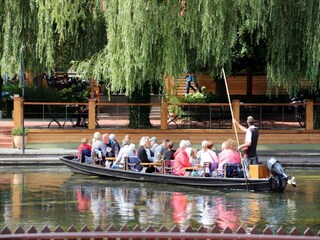 Vakantiepark Alt Zauche Omgeving 13