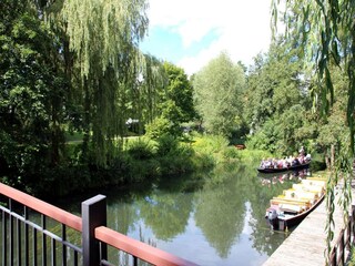 Vakantiepark Alt Zauche Omgeving 14