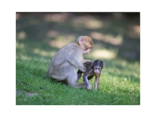 Ferienwohnung Unteruhldingen Umgebung 20