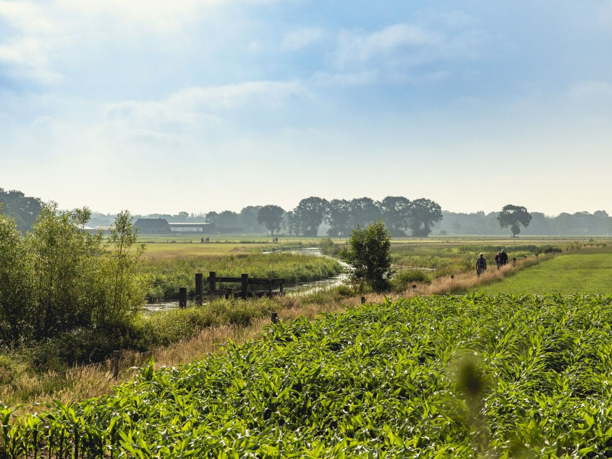 Parco vacanze Rijssen Registrazione all'aperto 1