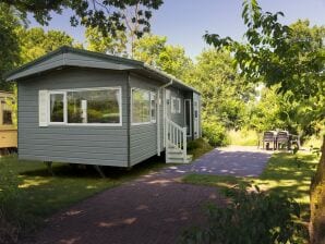 Ferienpark Chalet in der Nähe eines Naturschutzgebietes - Rijssen - image1