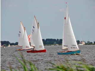 Parque de vacaciones Idskenhuizen Entorno 32