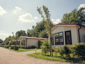 Ferienpark Komfortables Chalet mit Geschirrspüler, naturnah - Rijssen - image1