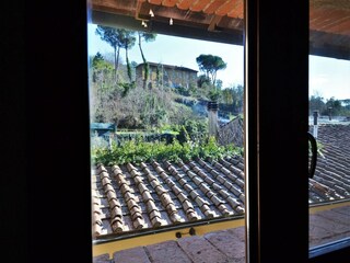 Holiday park Massa Marittima Outdoor Recording 4