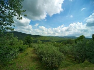 Holiday park Massa Marittima Environment 36