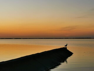 Vakantiehuis Neßmersiel Omgeving 17
