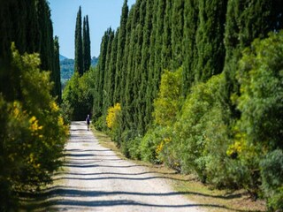 Holiday park Massa Marittima Environment 39