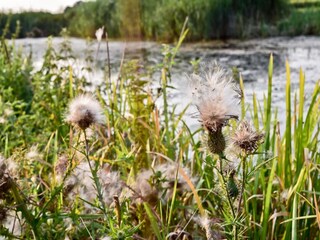 Ferienpark Rijssen Umgebung 25