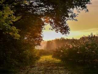 Ferienpark Rijssen Umgebung 16