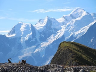 Vakantiepark Arâches-la-Frasse Omgeving 18
