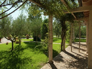 Parque de vacaciones Montepescali Grabación al aire libre 13