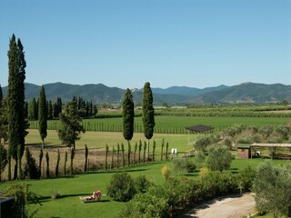 Holiday park Montepescali Environment 32