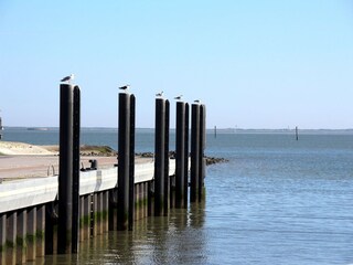 Maison de vacances Dornumersiel Environnement 11