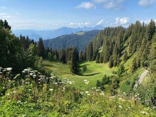 Ferienpark Arâches-la-Frasse Umgebung 21